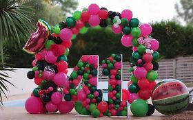 Pimpommette, maquillage enfant auvergne + décoration arches en ballons -  Acteur Fête France