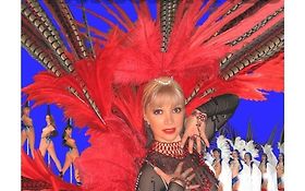 Robe à paillettes plumes - cabaret burlesque - Noisy-le-Grand