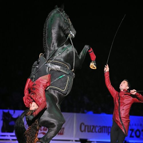 Spectacle Equestre d'Istres / Gonzalez Horse Show